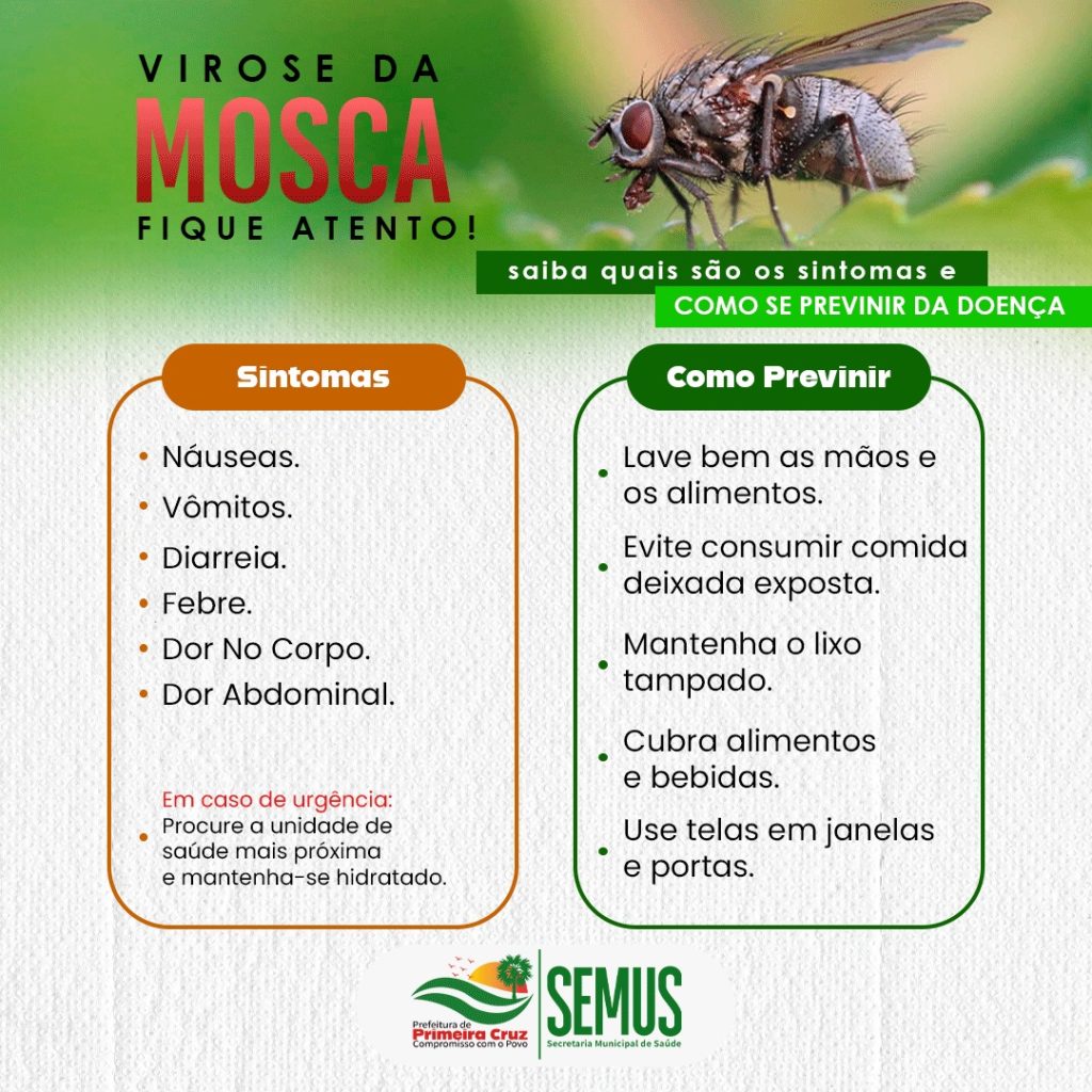 Prefeitura de Primeira Cruz alerta população sobre a virose da mosca e reforça cuidados com a saúde