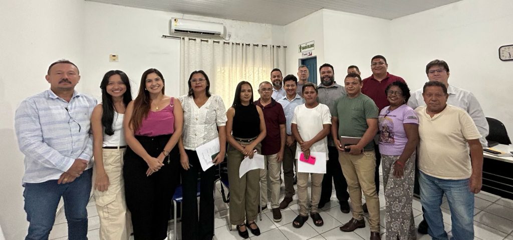 Planejamento estratégico para o futuro de Primeira Cruz – Plano Plurianual(PPA) Planejamento estratégico para o futuro de Primeira Cruz – Plano Plurianual(PPA)