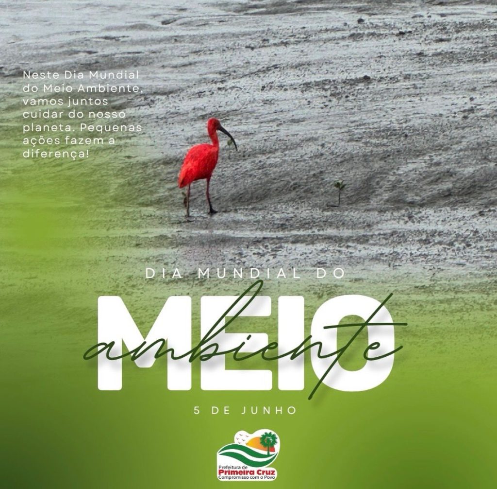 Dia Mundial do Meio Ambiente – 5 de junho Dia Mundial do Meio Ambiente – 5 de junho